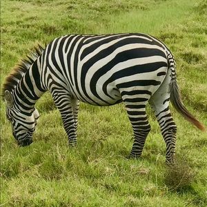 Meet your Posher, Ladonna